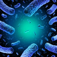 Picture of magnified listeria