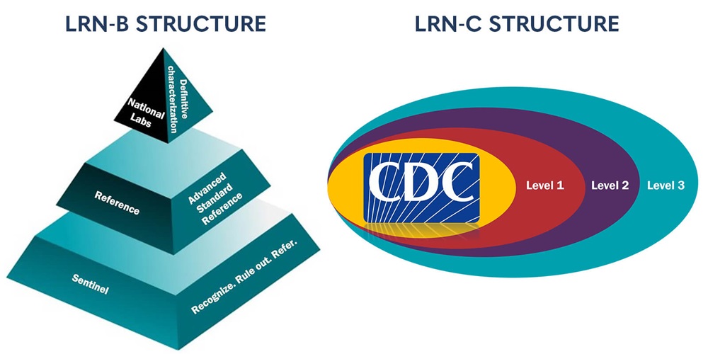 LNR reporting structures: LRN-B pyramid and LRN-C egg