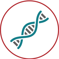 DNA icon