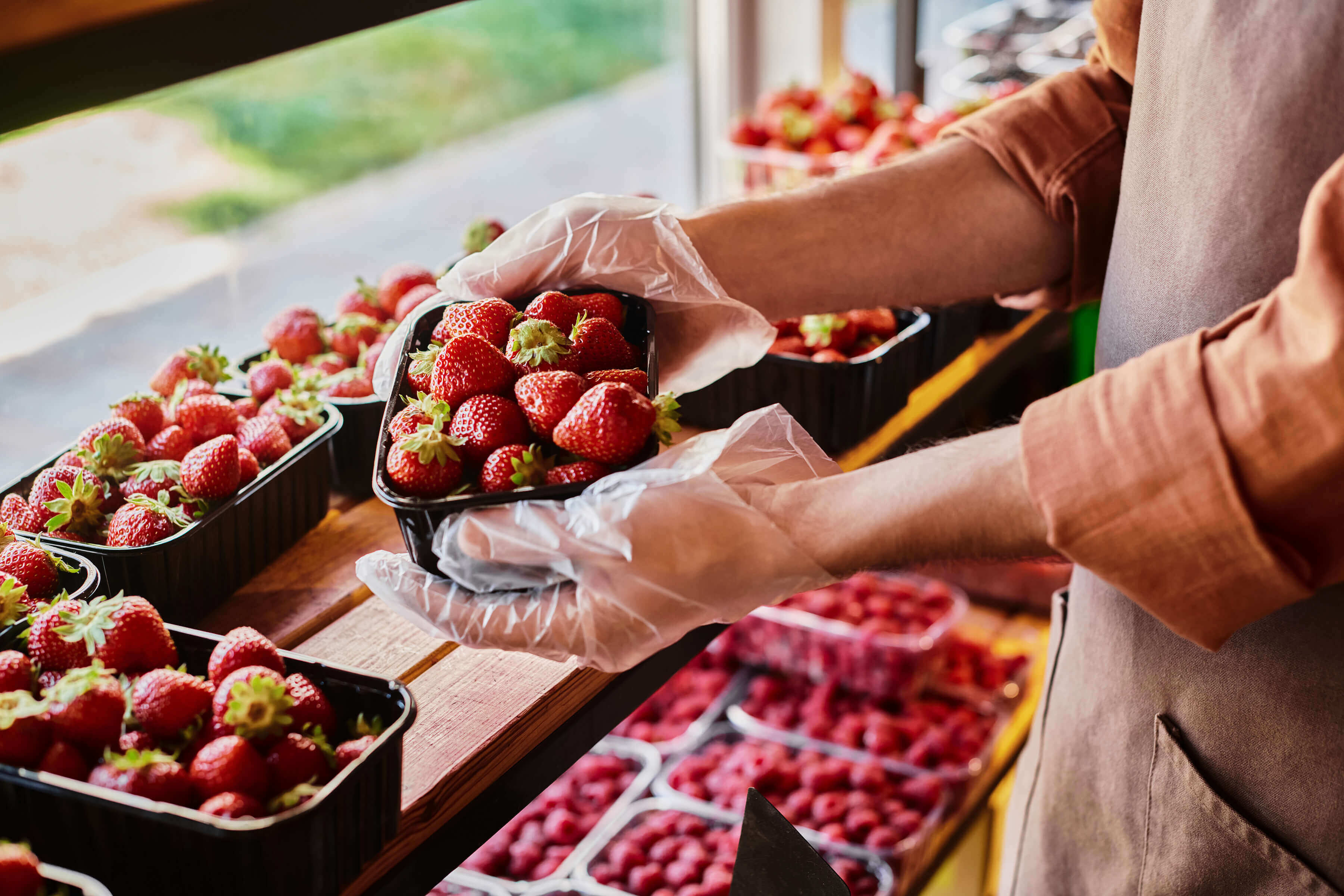 grocery holding a carton of strawberries with gloves on in market