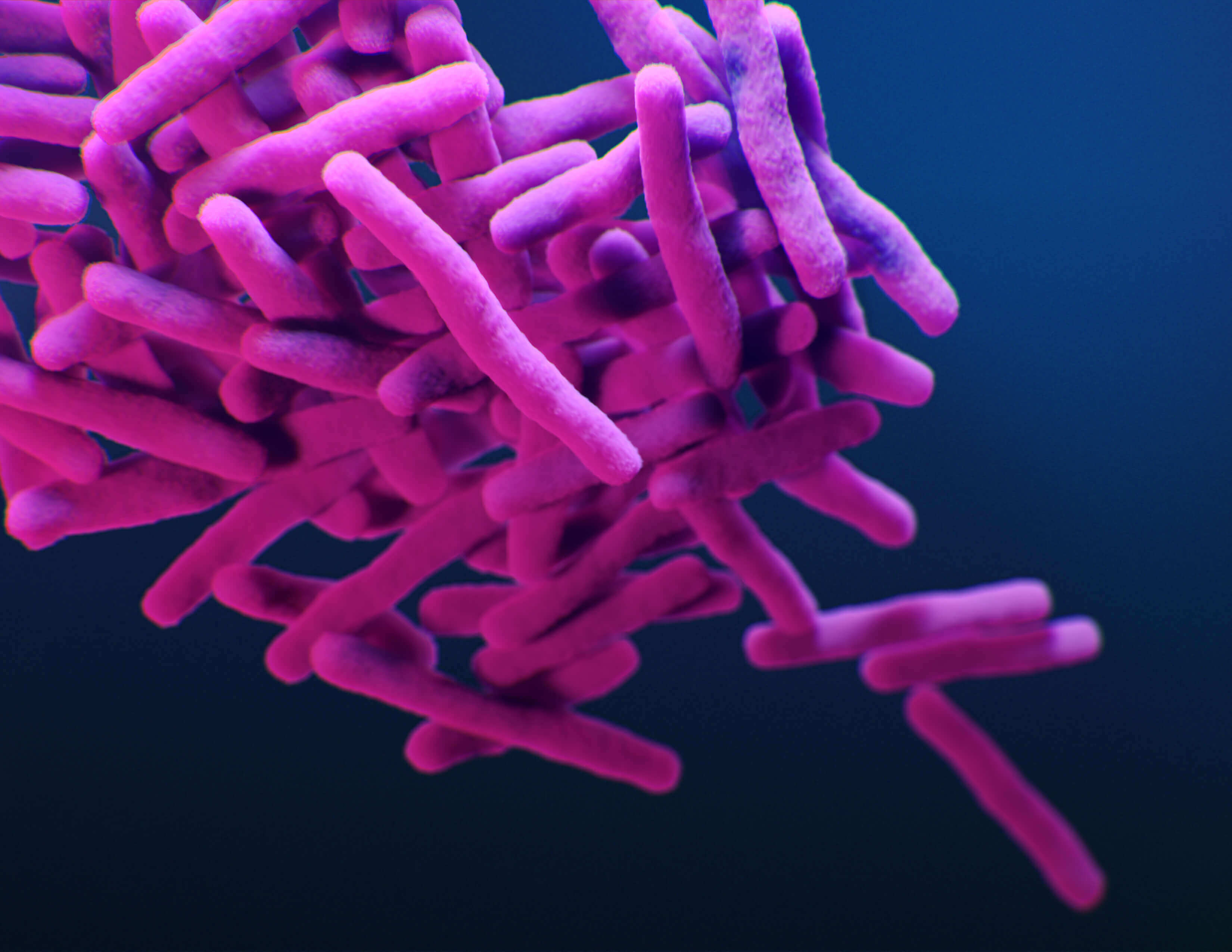 Mycobacterium tuberculosis (MTB) bacteria