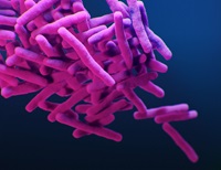 Mycobacterium tuberculosis (MTB) bacteria