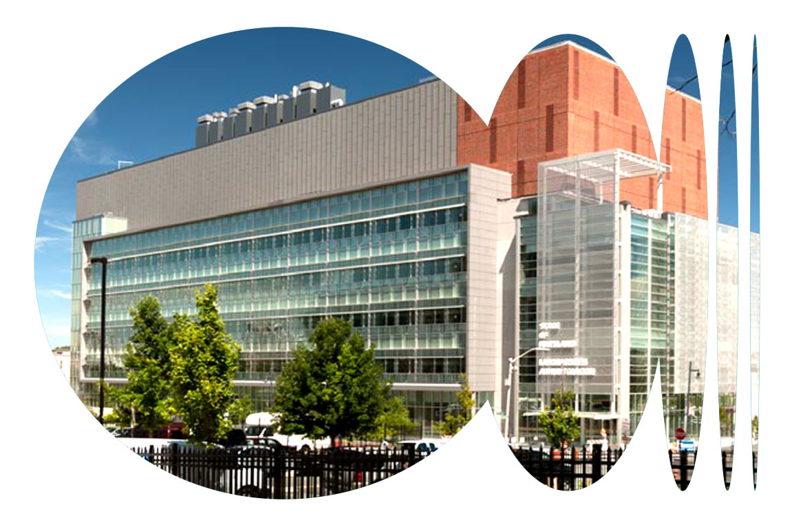 LMspring2026_4-MEM-MD-Lab-building_dynamic-cutout