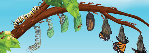 Lab Matters | Summer 2025 - Retention Drives Innovation: Making the Case for Public Health Laboratory Workforce Support