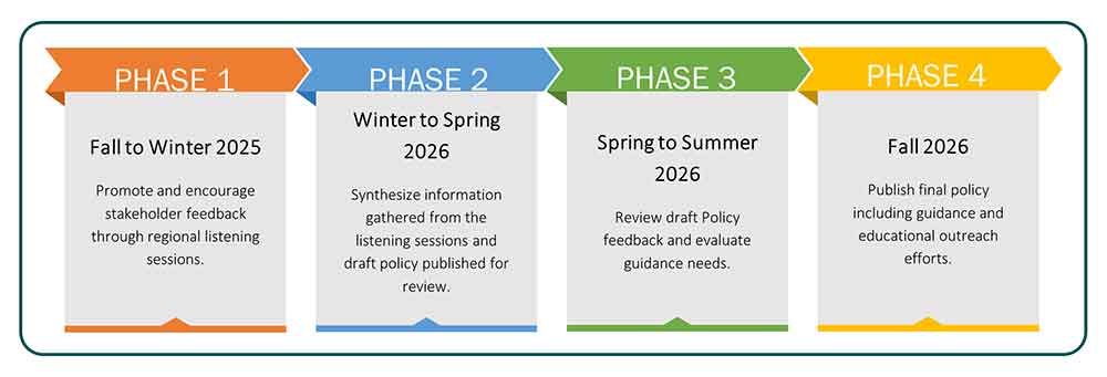 Phases of the development of the Biosafety Modernization Initiative.