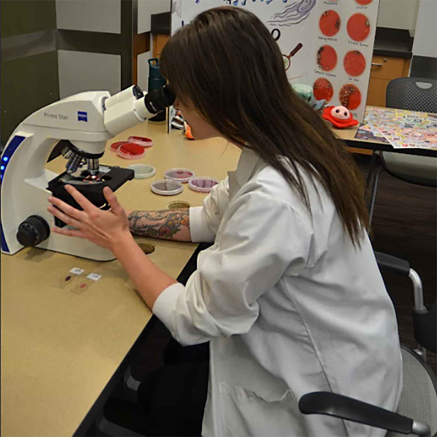 The Results Are In! Data Modernization at Public Health Laboratories Is a Work in Progress