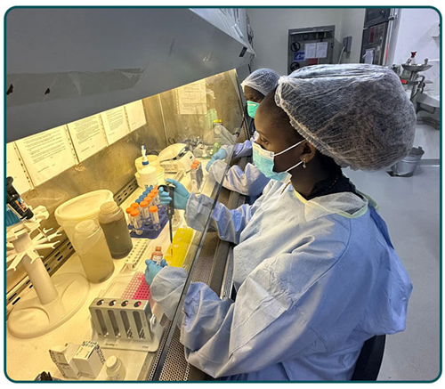 11-INDUSTRY-CeresNano-02 Laboratory staff process samples for pathogen determination. Photo: Ceres Nano.
